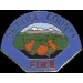 ORANGE COUNTY, CA OLD STYLE FIRE DEPART PIN OVAL MINI PATCH PINS